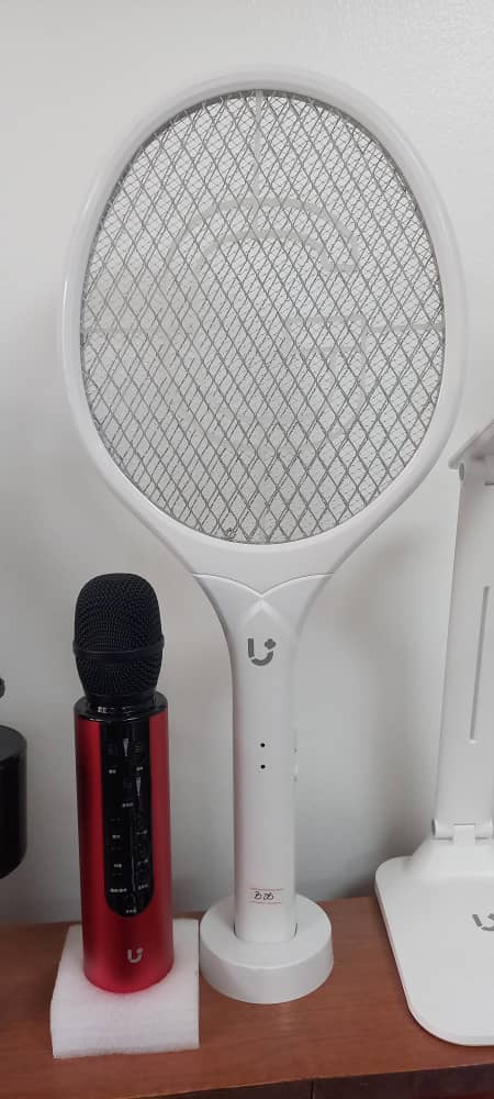 Mosquito Swatter