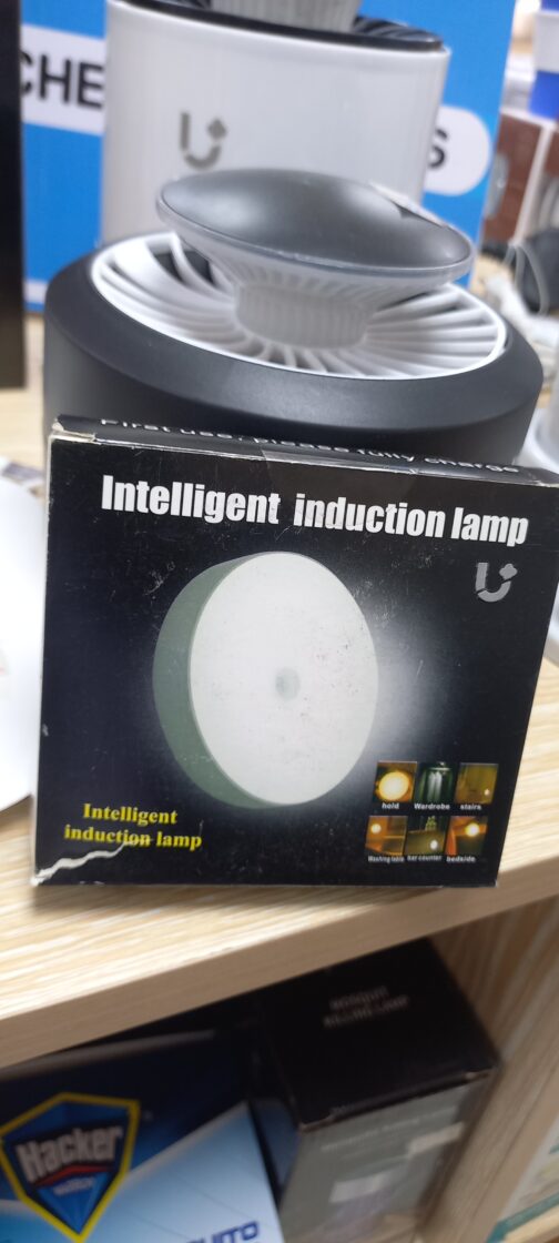 Intelligent Induction Lamp - Image 3