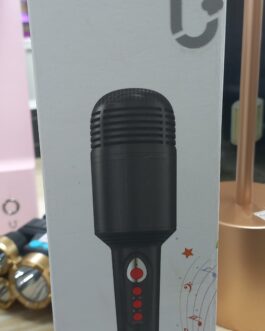 Karaoke Microphone