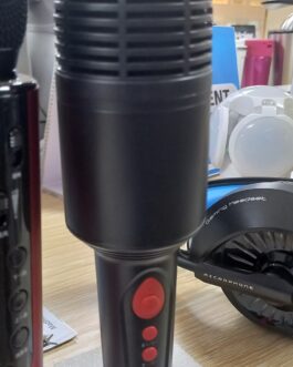 Karaoke Microphone