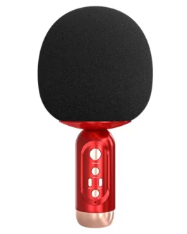 Karaoke Microphone ~~K2