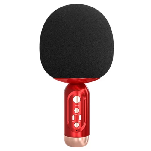 Karaoke Microphone ~~K2