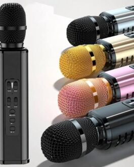 Portable Karaoke Microphone ~~KTV Sound