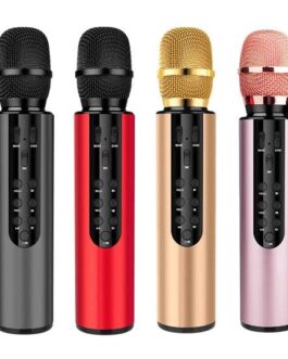 Portable Karaoke Microphone ~~KTV Sound