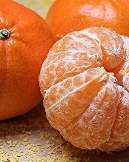 Tangerine~~Fruits