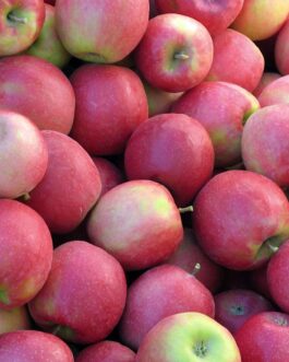 Pink Lady Apples