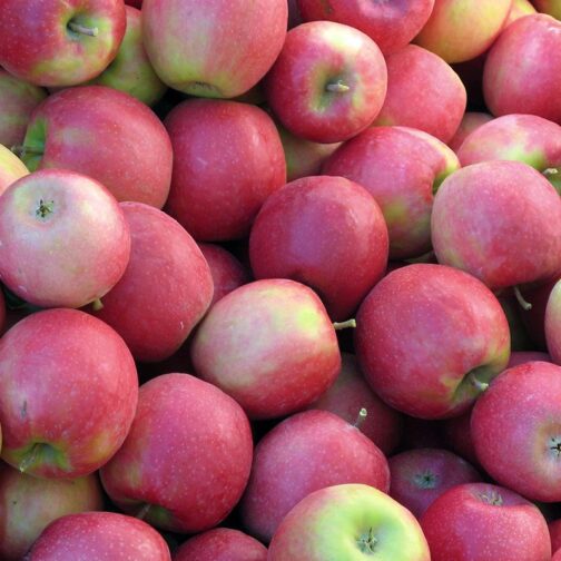 Pink Lady Apples - Image 2