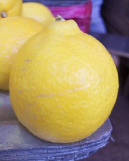 Yellow Lemon ~~Fruits