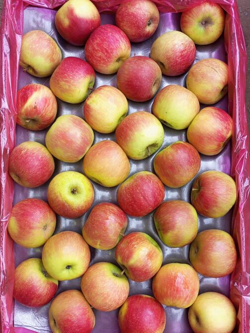 Pink Lady Apples - Image 3