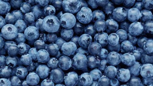 Blueberries - Image 3